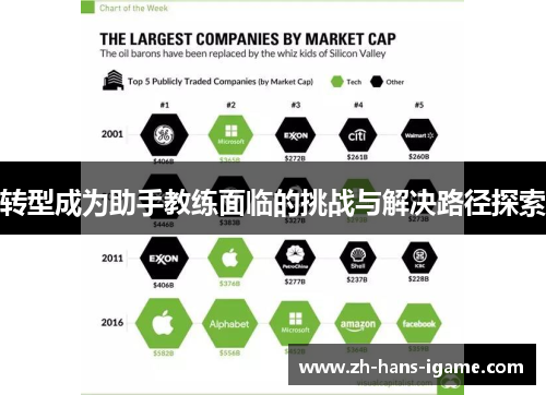 转型成为助手教练面临的挑战与解决路径探索