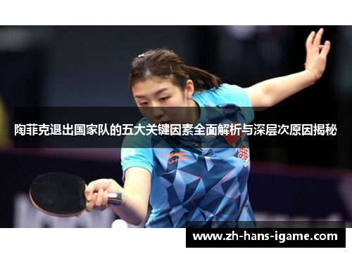 陶菲克退出国家队的五大关键因素全面解析与深层次原因揭秘 陶菲克退出国家队的五大关键因素全面解析与深层次原因揭秘